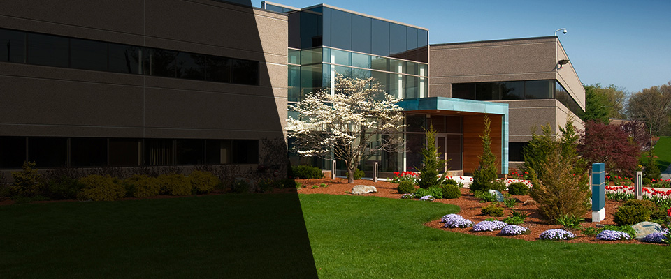 Mercer Landscapers