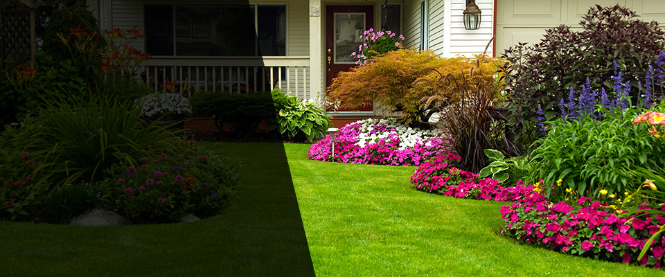 Mercer Landscapers
