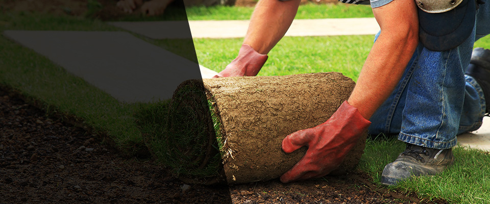 Mercer Landscapers
